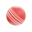 Biểu tượng Cricket